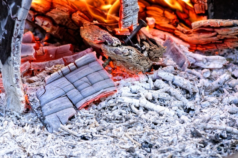 Is Wood Ash Good for the Garden? What You Need To Know!