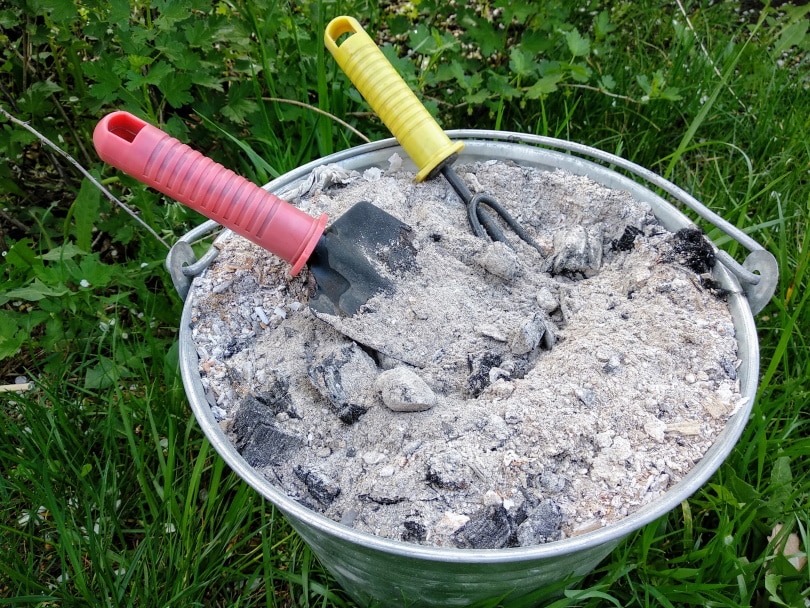 Is Wood Ash Good for the Garden? What You Need To Know!