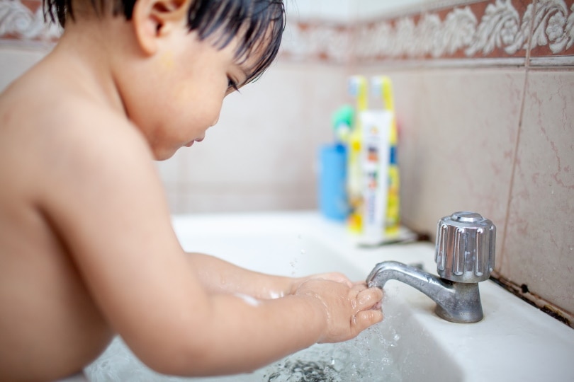 What is a Garden Tub? What You Need To Know!
