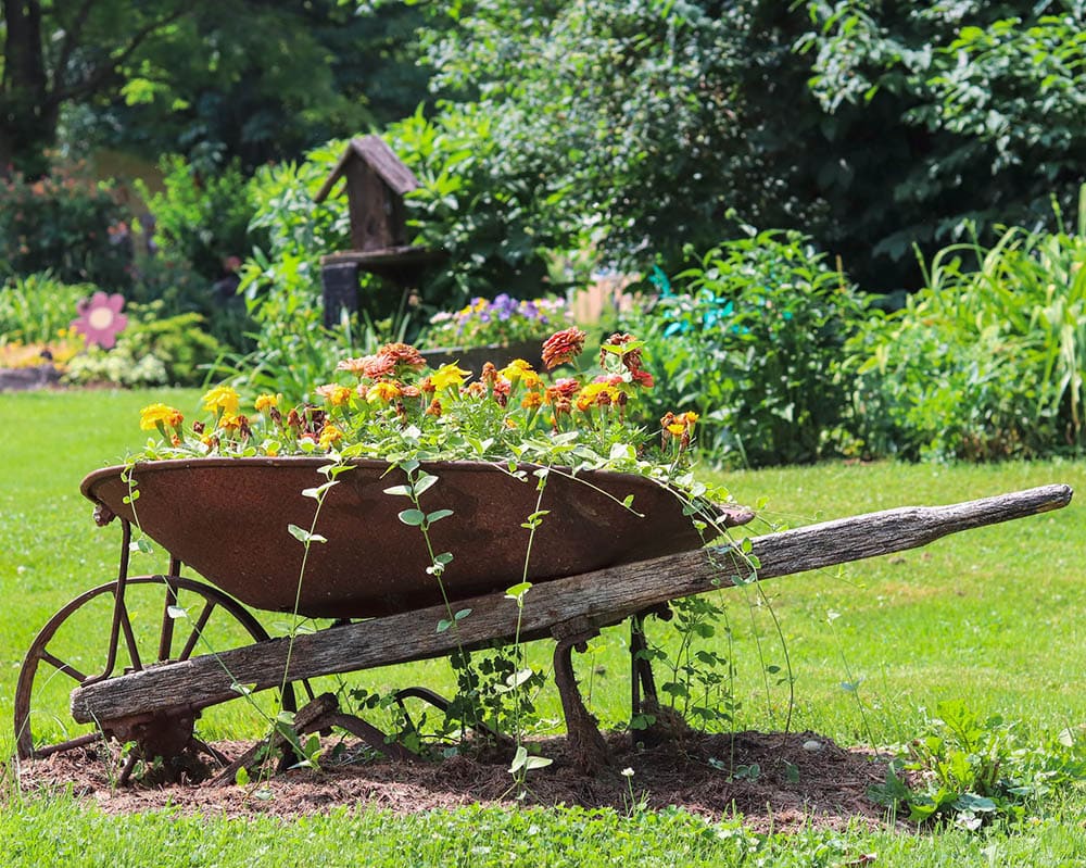 How to Make a Butterfly Garden – Step-by Step Guide