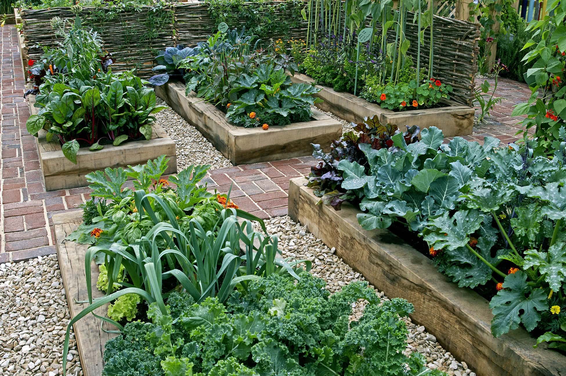 How To Grow An Organic Garden – 25 Tips & Tricks