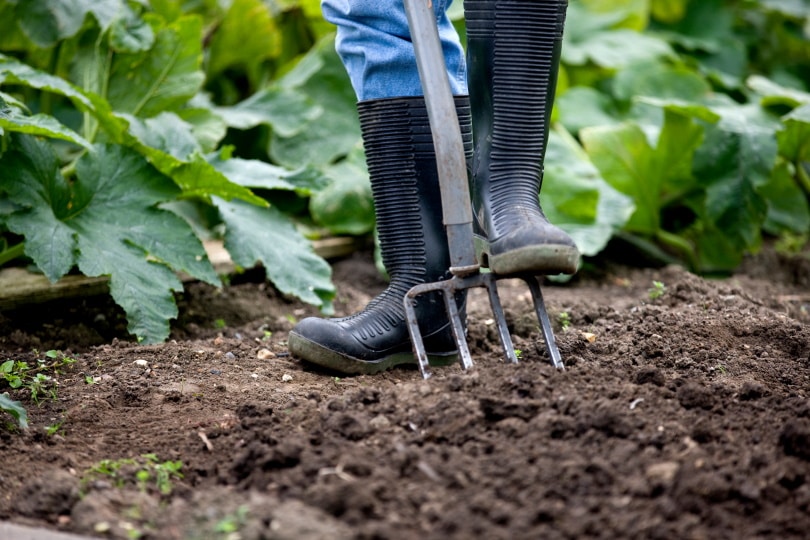 15 Different Types of Garden Tools & Their Uses (with Pictures)