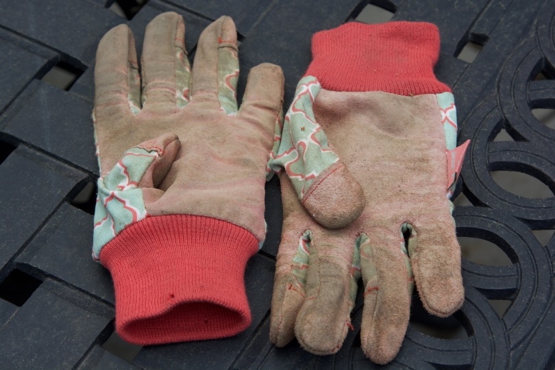 15 Different Types of Garden Tools & Their Uses (with Pictures)