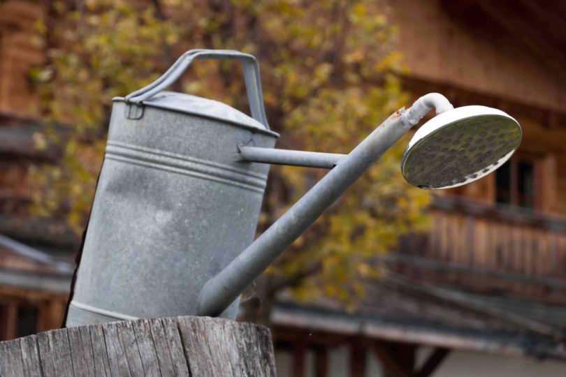 15 Different Types of Garden Tools & Their Uses (with Pictures)