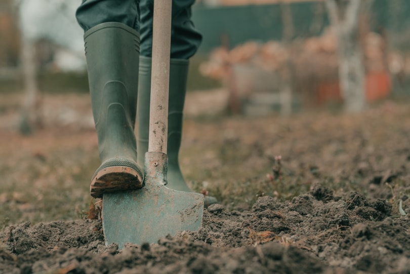 15 Different Types of Garden Tools & Their Uses (with Pictures)