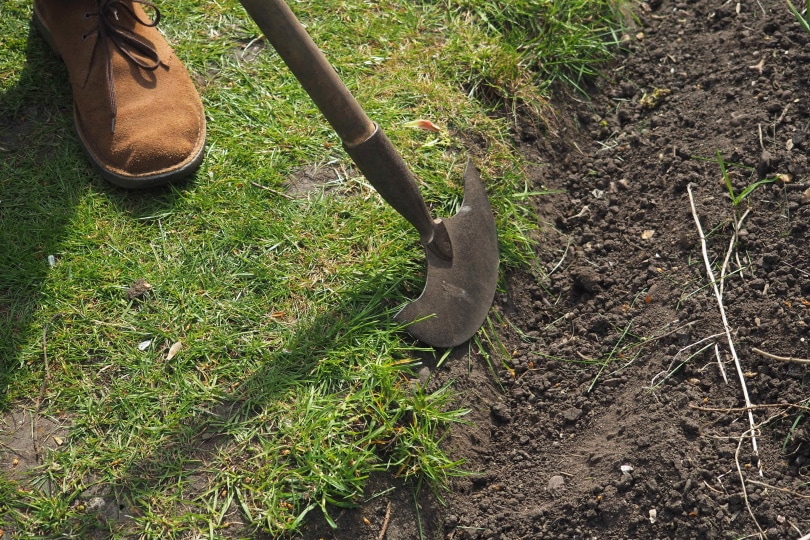 15 Different Types of Garden Tools & Their Uses (with Pictures)