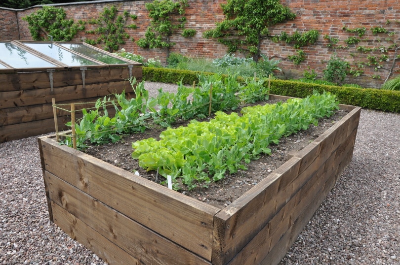 10 Gardening Trends in 2022 – Design Ideas for a Modern Home