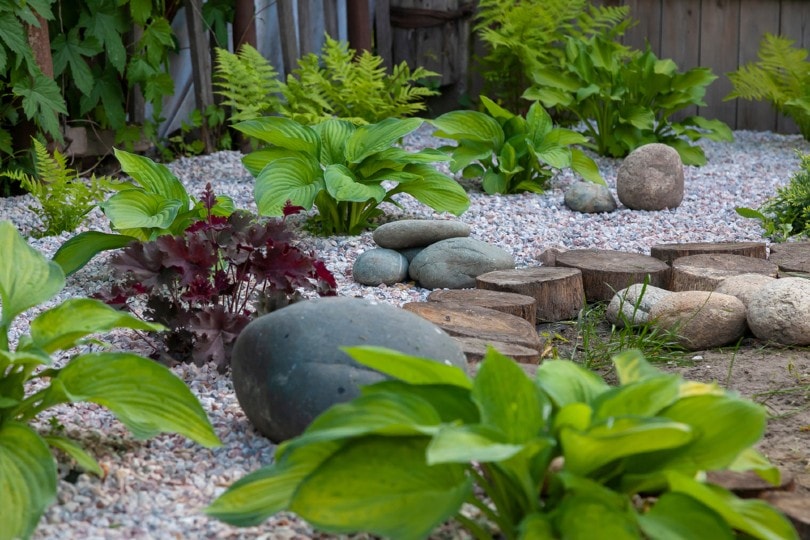 10 Gardening Trends in 2022 – Design Ideas for a Modern Home