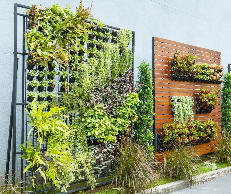 10 Gardening Trends in 2022 – Design Ideas for a Modern Home
