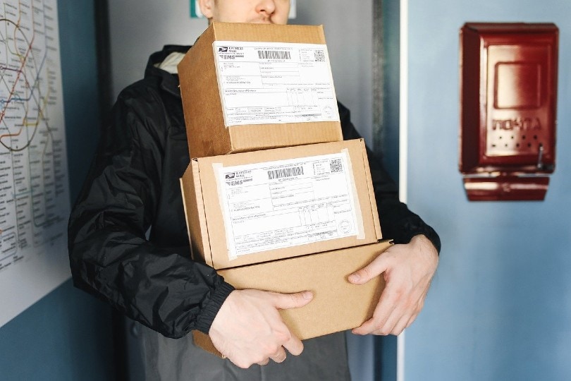 12 Porch Pirate and Package Theft Statistics (2022 Update)