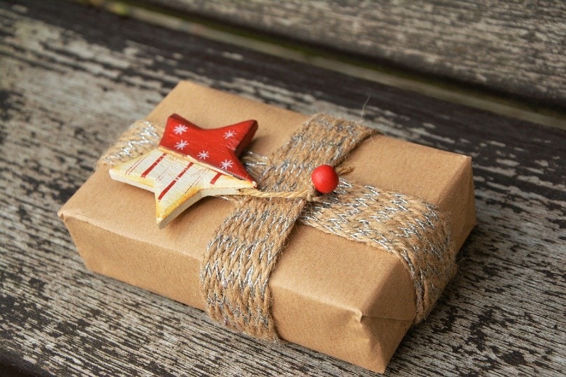 12 Porch Pirate and Package Theft Statistics (2022 Update)