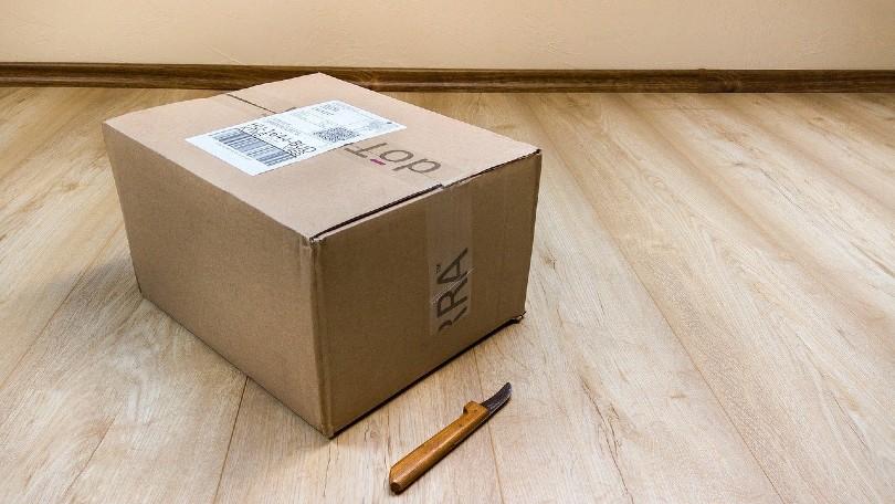 12 Porch Pirate and Package Theft Statistics (2022 Update)