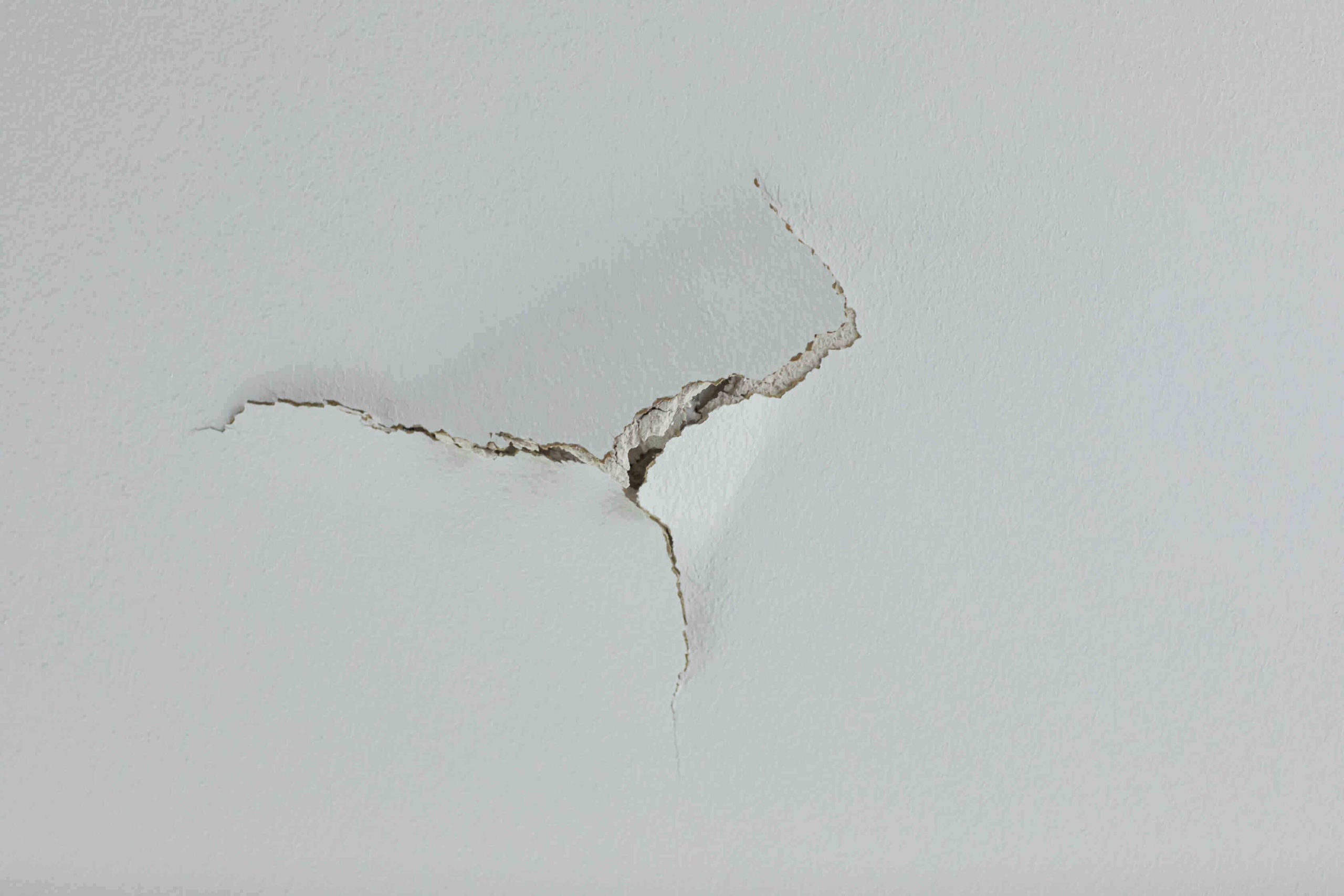 How do cockroaches get in the house? Why do They Come in?