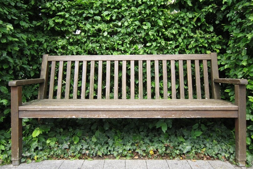What Is the Best Wood for Outdoor Furniture? (7 Types)