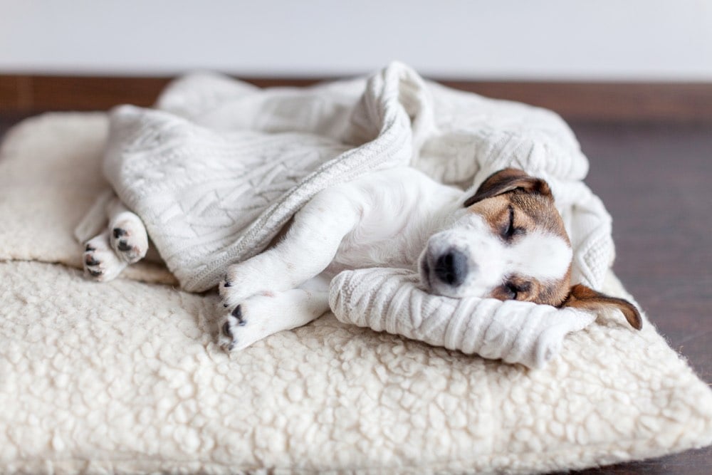 Why Is My House So Dusty? 9 Possible Reasons