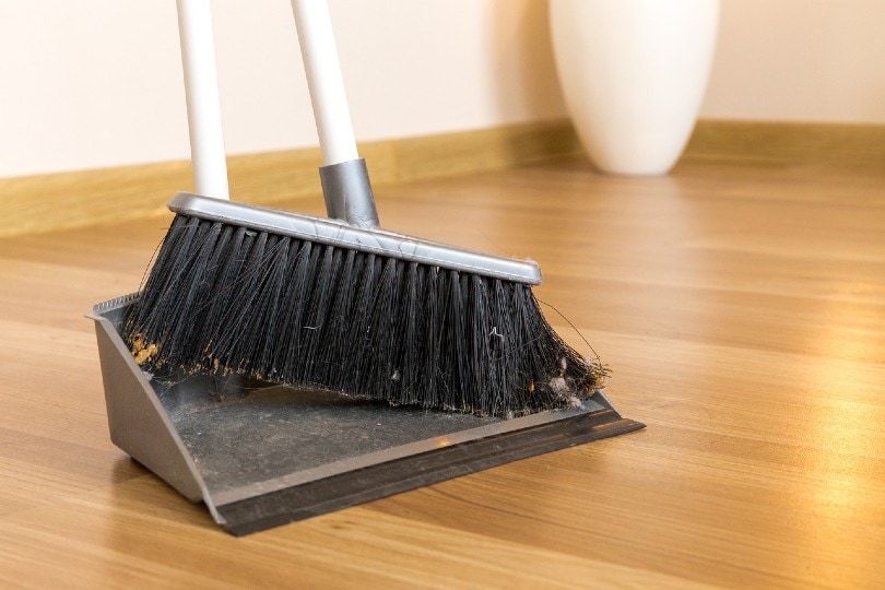 Why Is My House So Dusty? 9 Possible Reasons