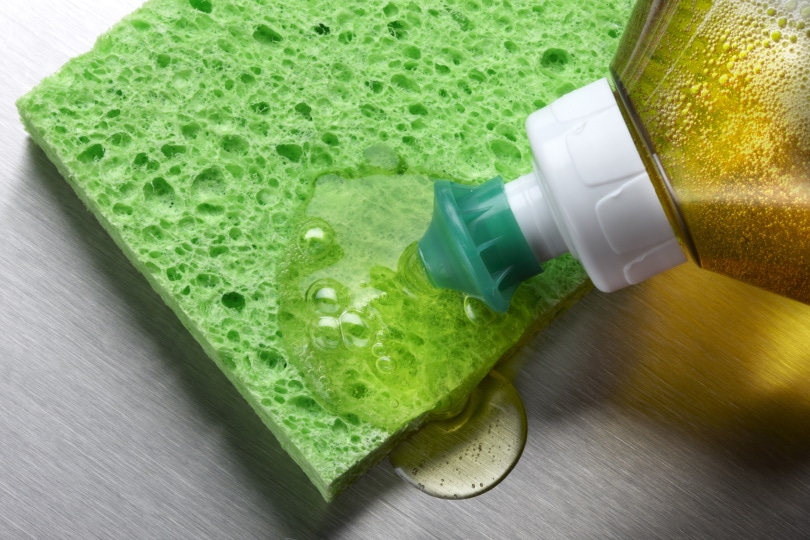 How to Get Rid of Dog Urine Smell on Tile: 6 Practical Options