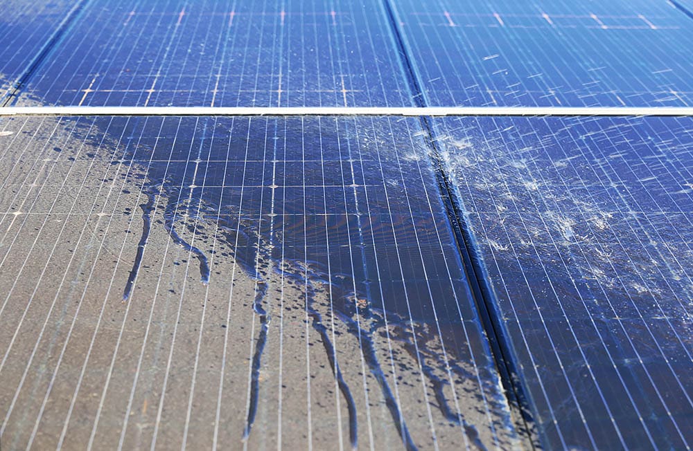 How To Clean Solar Panels In 4 Easy Steps