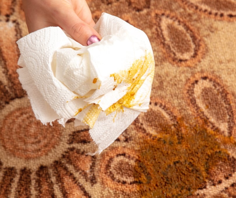 Why Does My House Smell Musty? 12 Possible Reasons