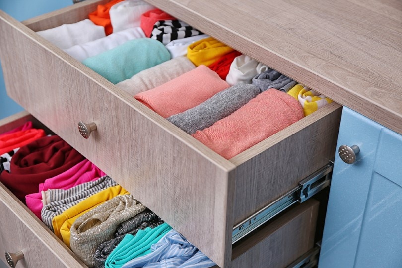 Why Does My House Smell Musty? 12 Possible Reasons