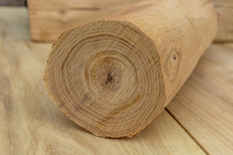 25 Different Types of Wood Flooring (With Pictures)