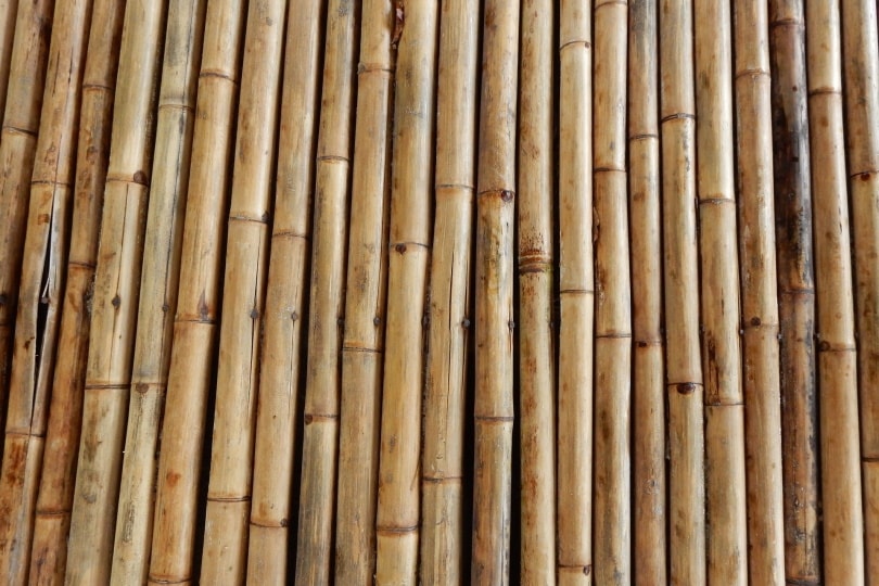 25 Different Types of Wood Flooring (With Pictures)