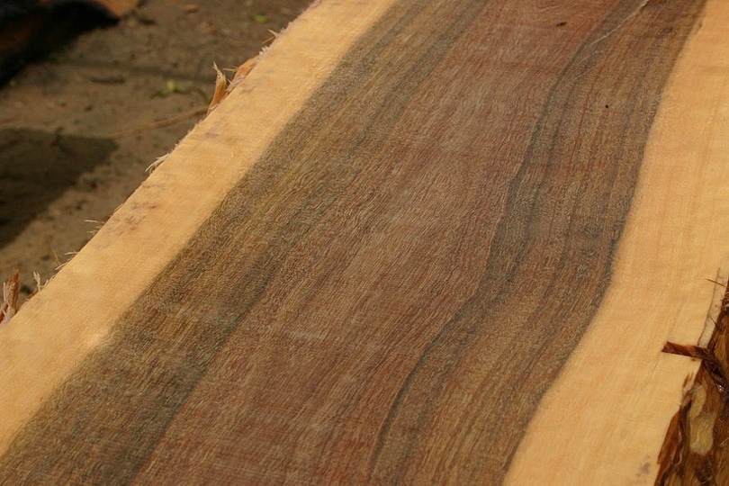 25 Different Types of Wood Flooring (With Pictures)
