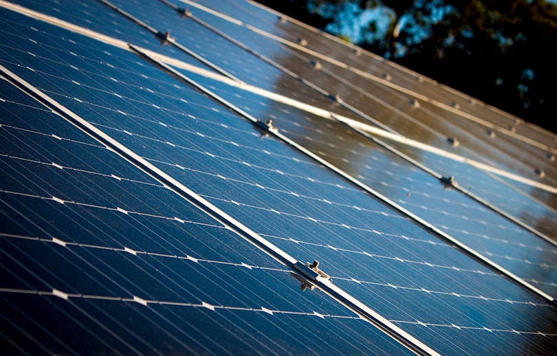 What Is A Solar Farm? How Do Solar Farms Work?