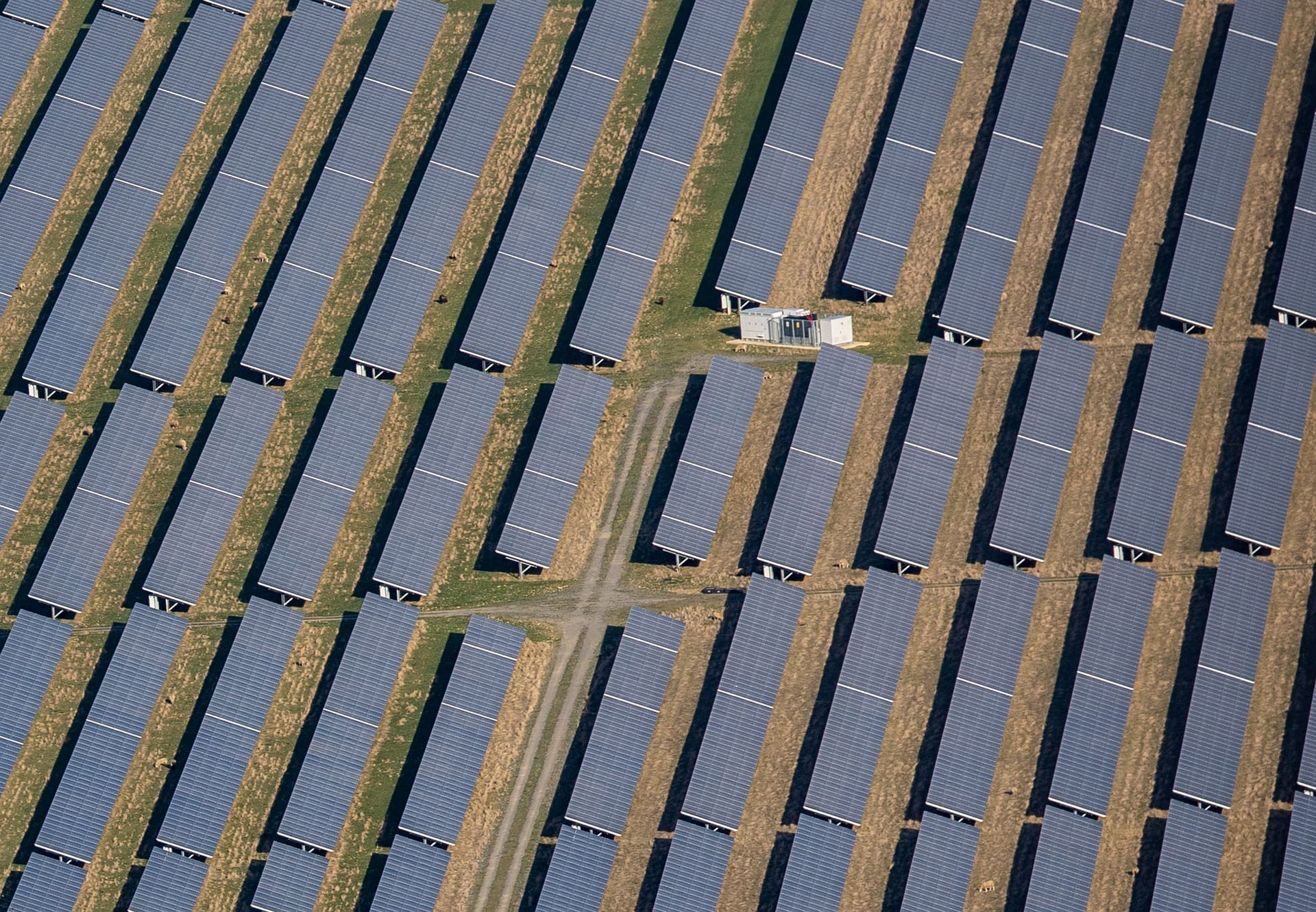 What Is A Solar Farm? How Do Solar Farms Work?