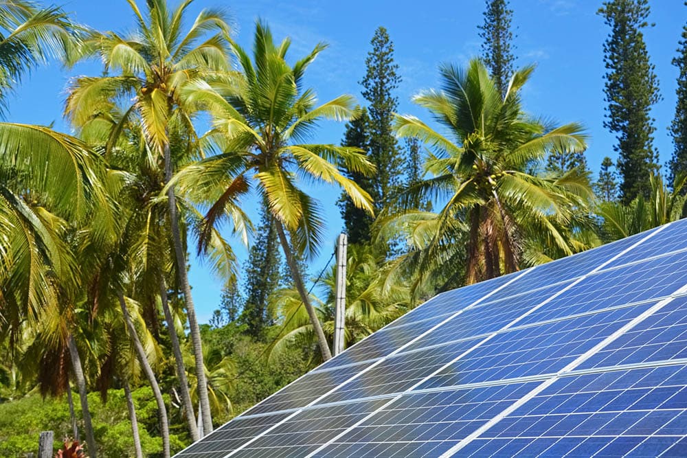 How Do Solar Panels Work? What You Need To Know!