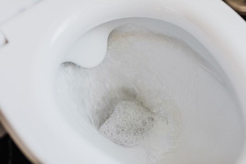 6 Toilet Myths and Misconceptions – It’s Time to Stop Believing These!