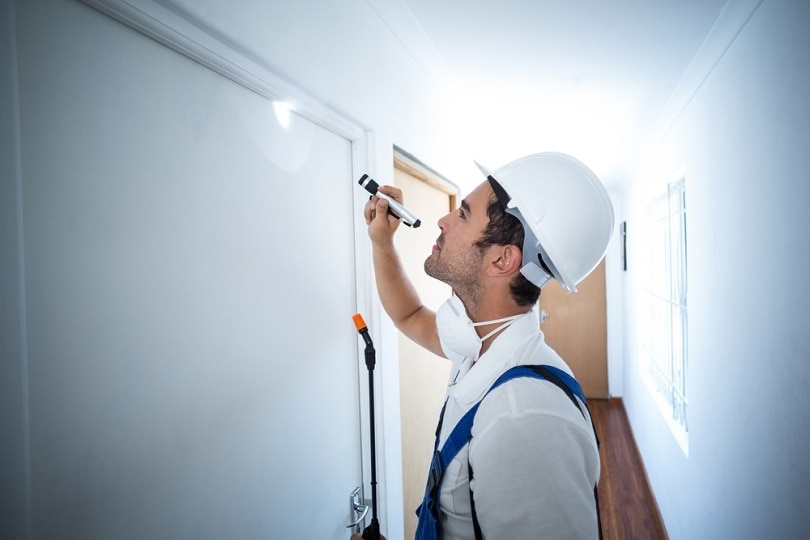 15 Essential Electrician Tools (With Pictures)