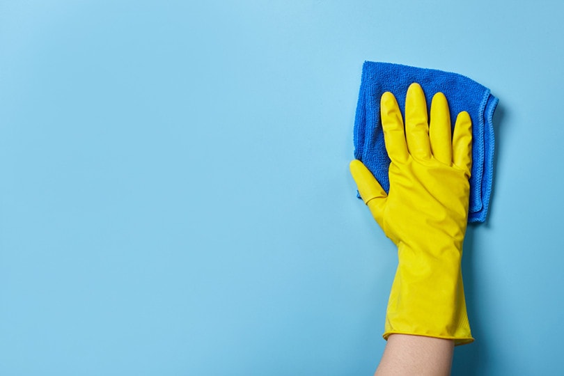 How to Paint a Bathroom in 7 Easy Steps