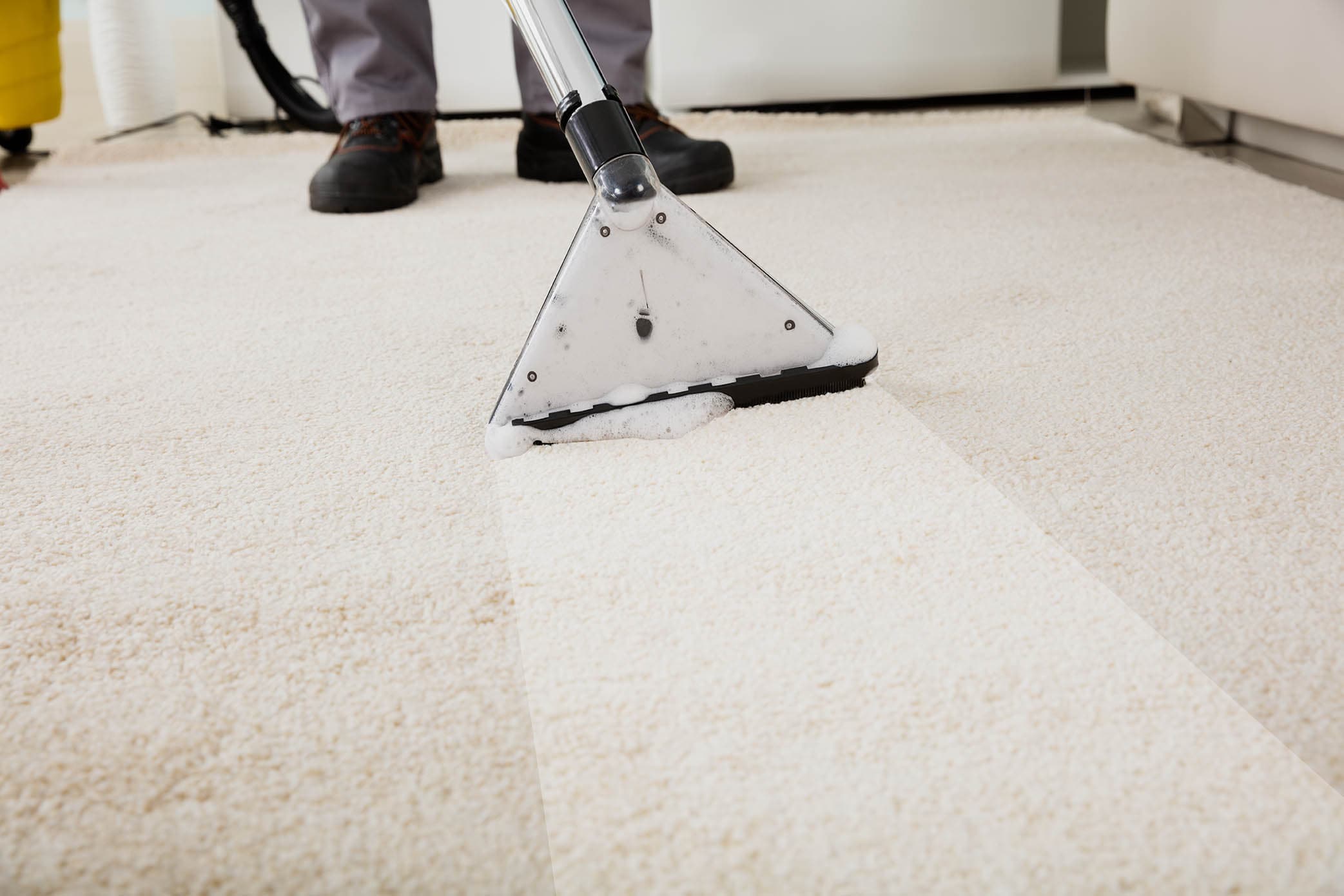 Will Professional Carpet Cleaning Remove Pet Odors? Is It Worth It?