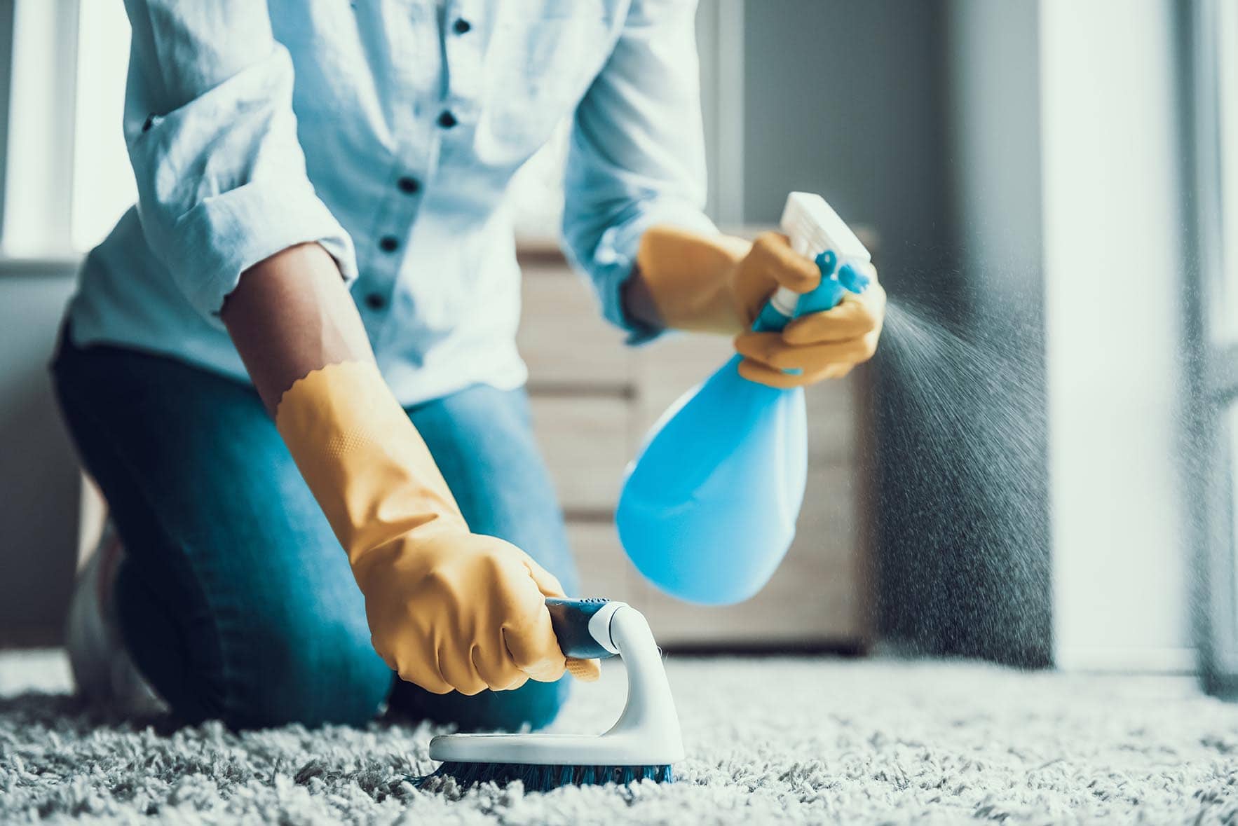 How to Get Cat Poop Stains & Smells Out of a Carpet: 4 Practical Options