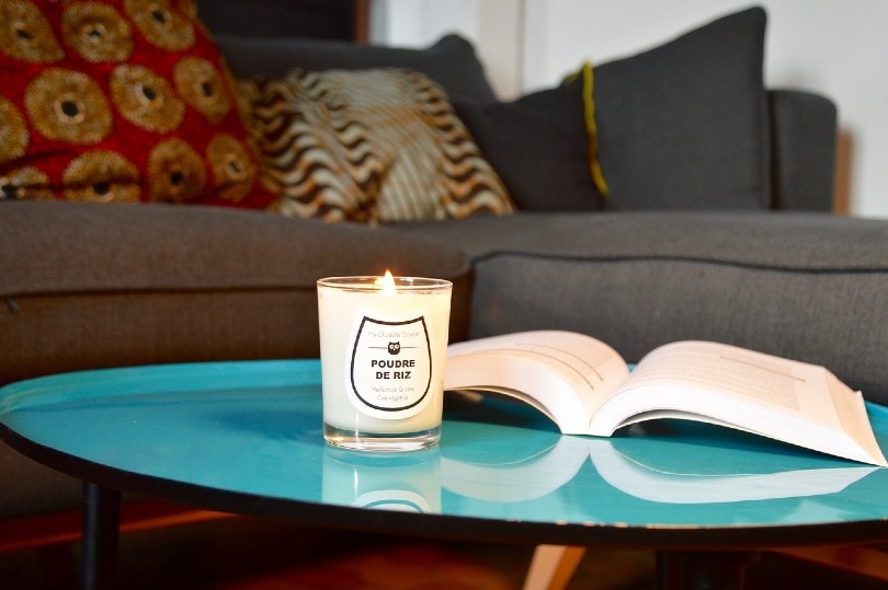 How to Get Cat Poop Stains & Smells Out of a Carpet: 4 Practical Options