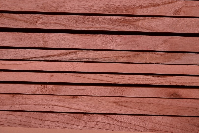 What Is the Best Wood for Staining? What You Need To Know!