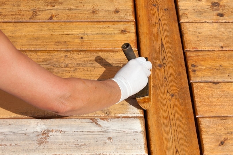 What Is the Best Wood for Staining? What You Need To Know!