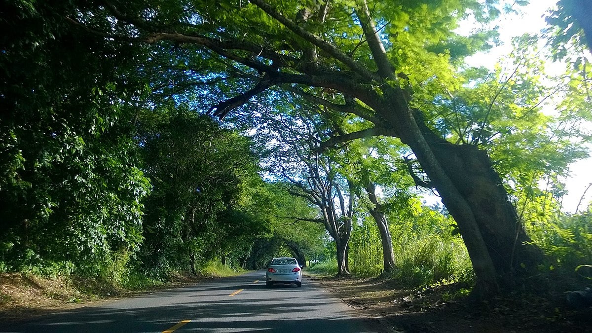 11 Safest Cities In Puerto Rico (2022 Update)