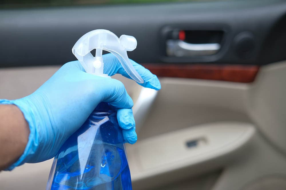 How to Get Dog Pee Smell Out of Your Car: 7 Practical Options