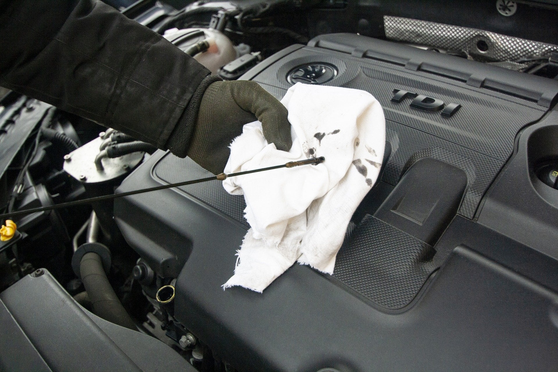 What Oil Does My Car Take? 4 Oil Types and When to Use Them