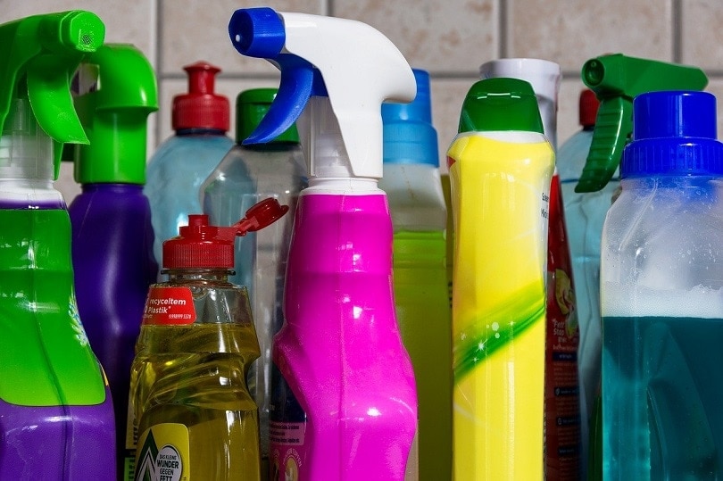 How to Remove Old Cat Urine From Hardwood Floors: 3 Practical Options