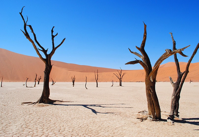 30 Safest Countries and Cities in Africa in 2022 (with Pictures)