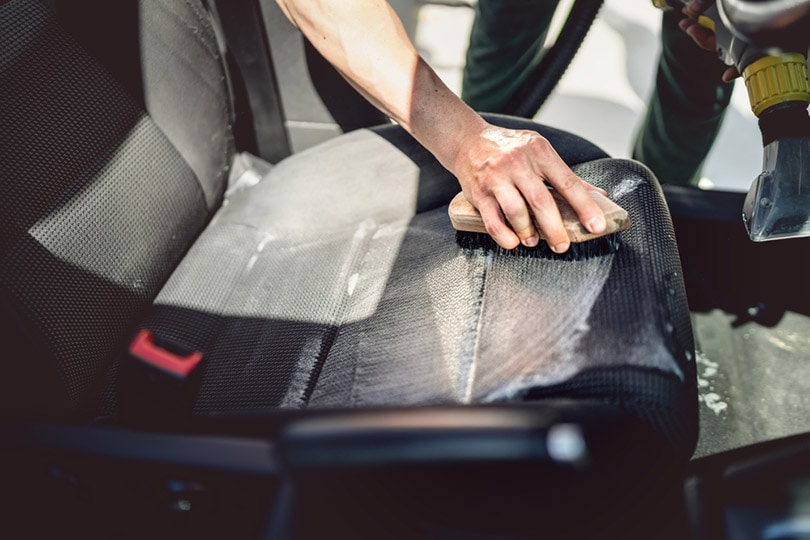 How to Clean Dog Vomit from a Car in 7 Easy Steps