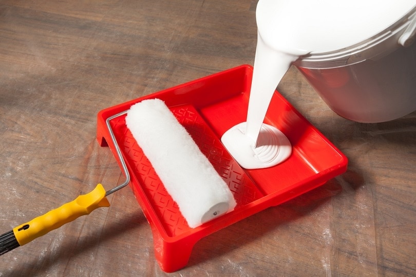 Can You Return Paint to Home Depot? What is Their Policy?