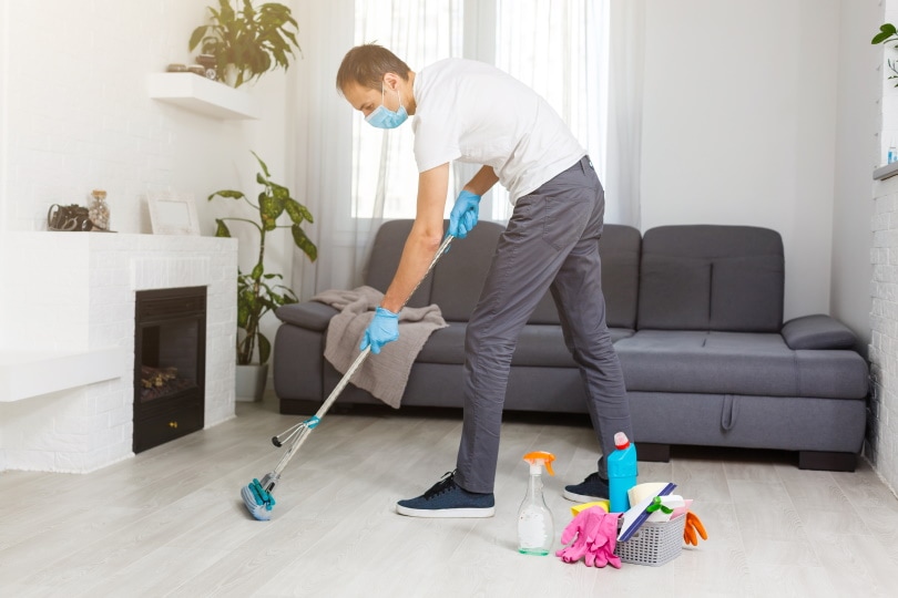How to Flea Bomb a House – Step-by-Step Guide (with Pictures)