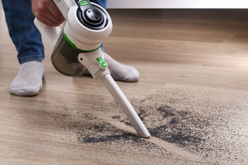 How to Clean Mouse Urine from Wood in 7 Easy Steps