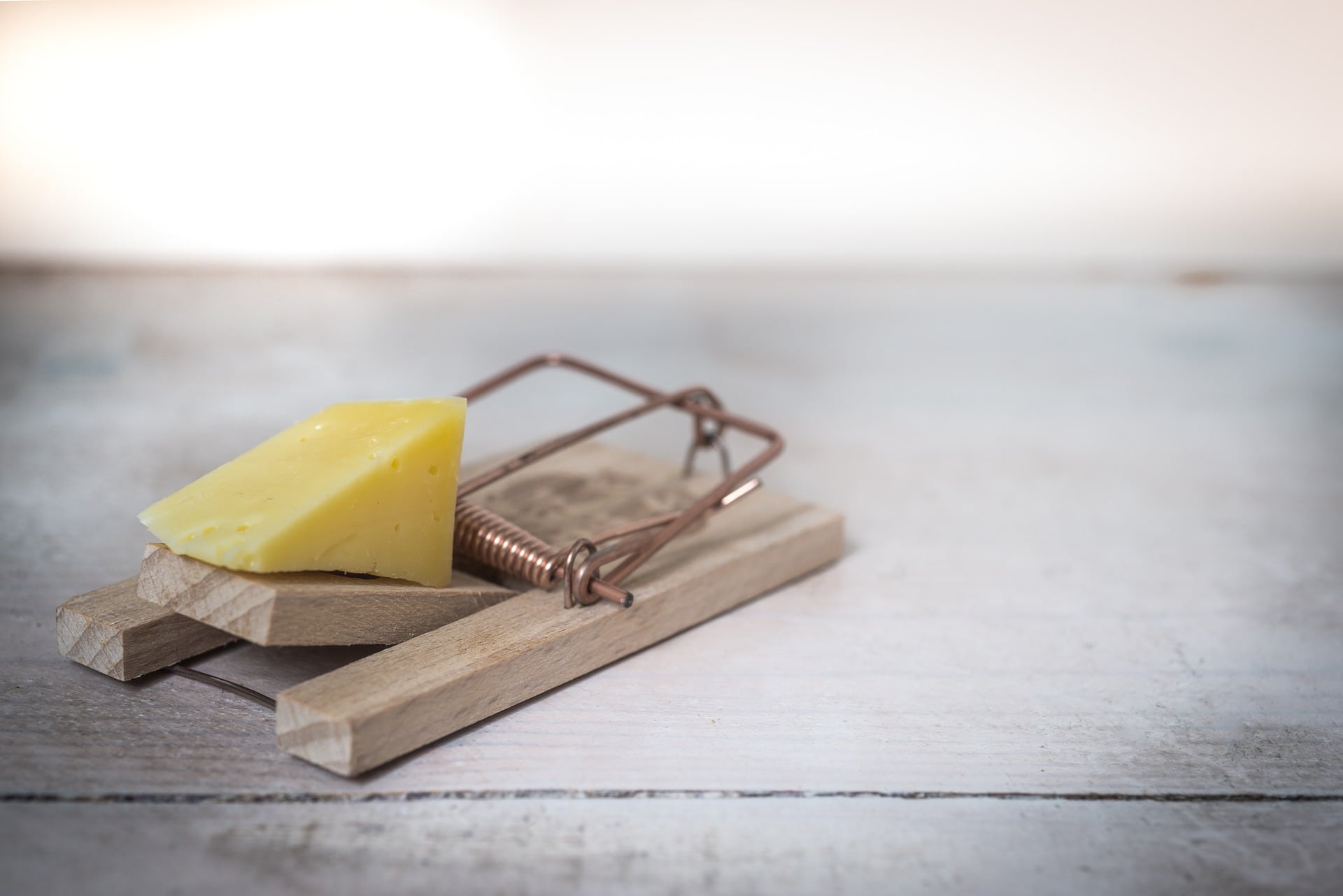 How to Get Rid of Mouse and Rat Urine Smell in the Attic, Walls, and Under the House in 10 Steps