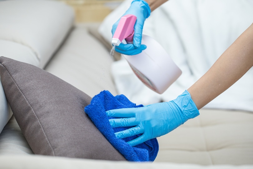How To Get Cat Vomit Smell Out Of A Couch In 10 Steps (with Pictures)