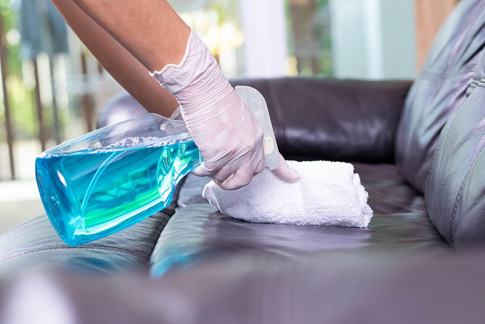 How To Get Cat Vomit Smell Out Of A Couch In 10 Steps (with Pictures)